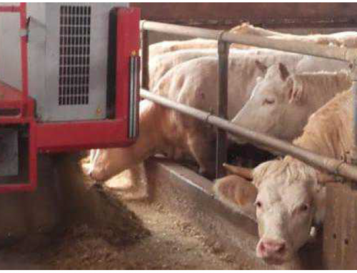 Un sistema automatizzato per il razionamento unifeed per bovini da carne – Visita guidata